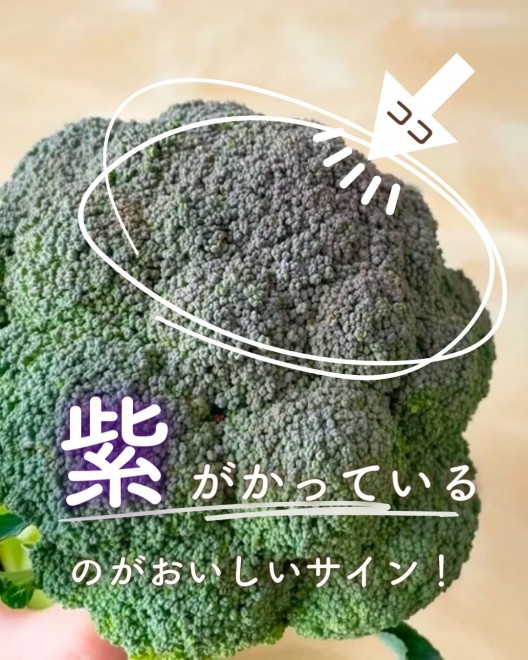 yƎZz؃\GvŊǗh{m̏Zɂ邨ubR[̑Iтi@kasumiii.mmj