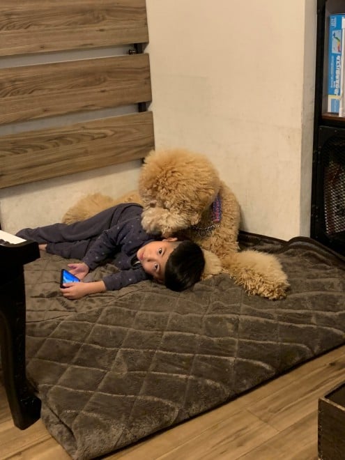 X^_[hv[h̃EƃVrƕ炷5΂̑q