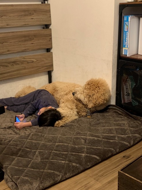 X^_[hv[h̃EƃVrƕ炷5΂̑q