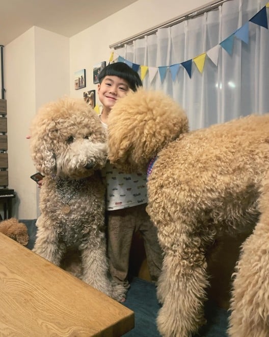 X^_[hv[h̃EƃVrƕ炷5΂̑q