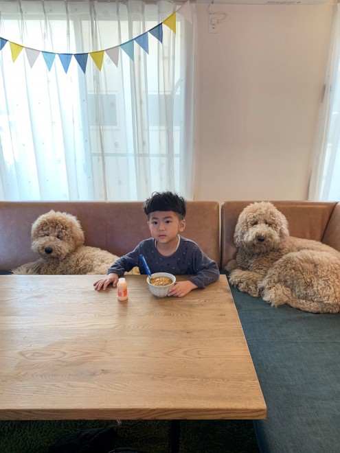 X^_[hv[h̃EƃVrƕ炷5΂̑q