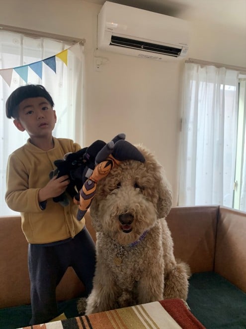 X^_[hv[h̃EƃVrƕ炷5΂̑q