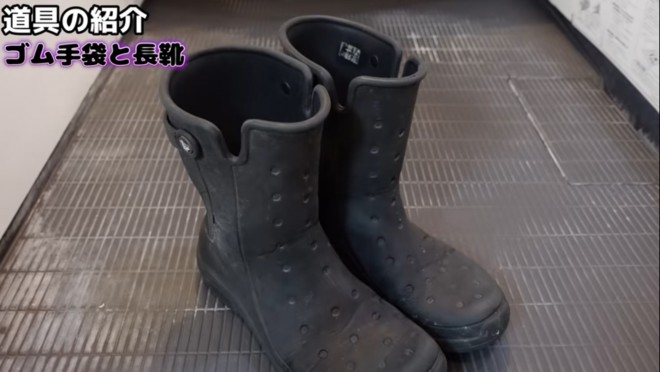 y|ZzuC̏vvE[񒼓`̗Ƃ