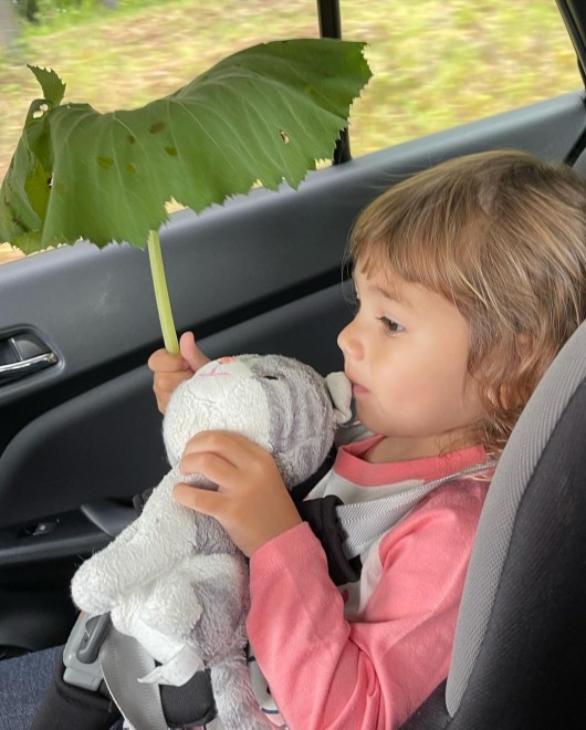 T}[iInstagram^@misatospringmanj