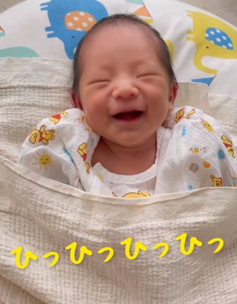 �y�V�g�L�b�Y�z��Ղ̈�u�c�H ���܂ꂽ�΂���̐Ԃ���񂪔��΂���p��100���Đ��u����Ȃɏ΂��Ă�V�������߂Č����v