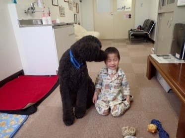 「手術は怖いけどミカとなら…」病と闘う4歳男を支えた病院勤務犬の果たす役割「彼らは人間との関係ではできないことを可能にする」
