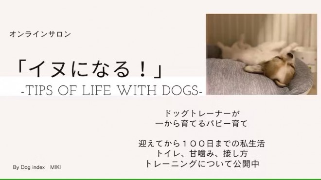 DMMオンラインサロン,イヌになる！- Tips of life with dogs-