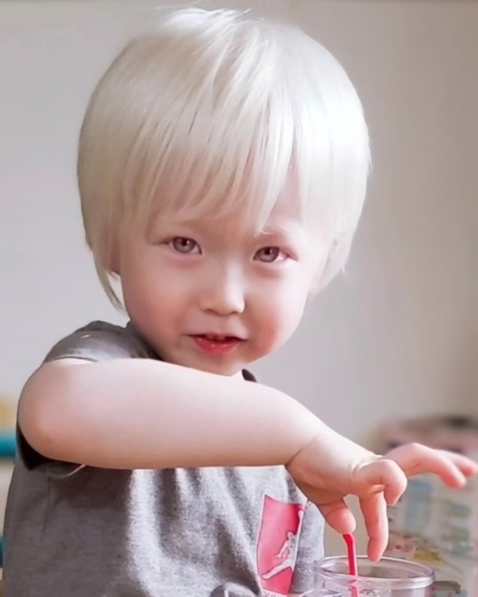 TlC Arm̏wqɁgIhASNSōL闝@ߋɂ́uaCȂ́H 킢ˁv̌tɏƂ